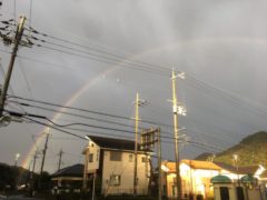 すごい虹を間近で見れました